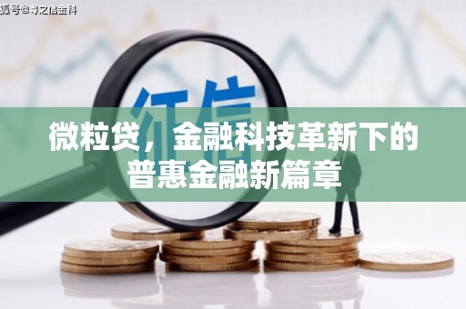 虾峙微粒贷，金融科技革新下的普惠金融新篇章