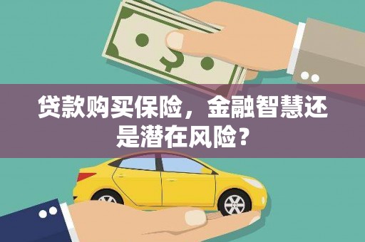 万峦贷款购买保险，金融智慧还是潜在风险？