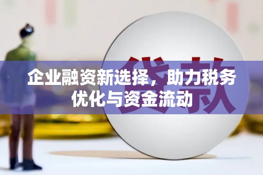 东宝企业融资新选择，助力税务优化与资金流动