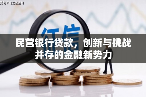 芦竹民营银行贷款，创新与挑战并存的金融新势力