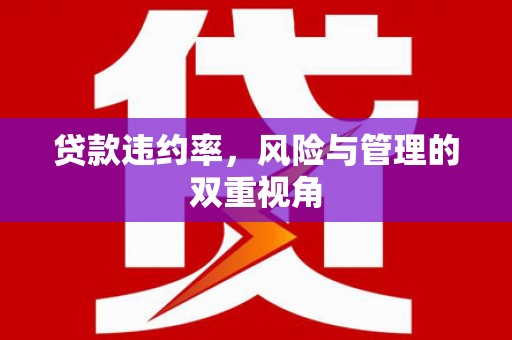 佳木斯贷款违约率，风险与管理的双重视角