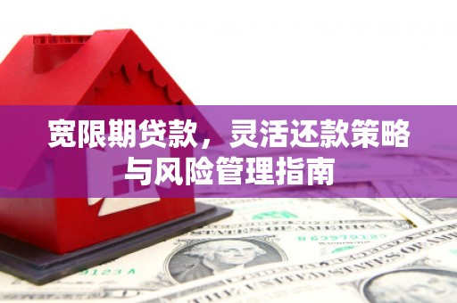 馆陶宽限期贷款，灵活还款策略与风险管理指南