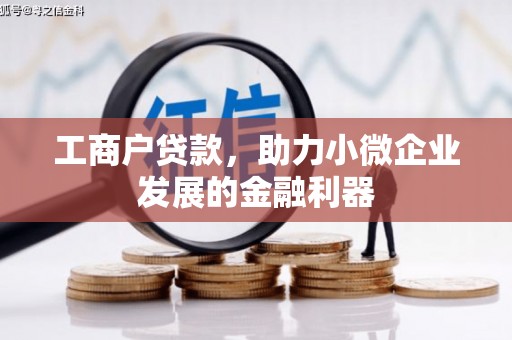 海端工商户贷款，助力小微企业发展的金融利器