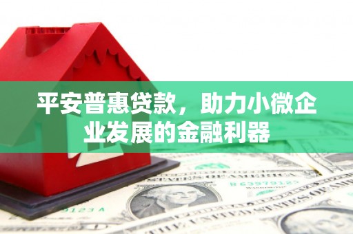 广河平安普惠贷款，助力小微企业发展的金融利器