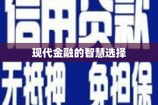 岚皋现代金融的智慧选择