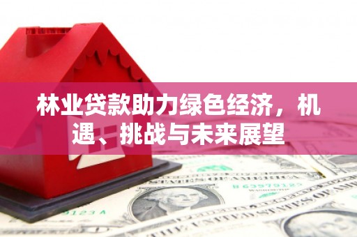 白山林业贷款助力绿色经济，机遇、挑战与未来展望
