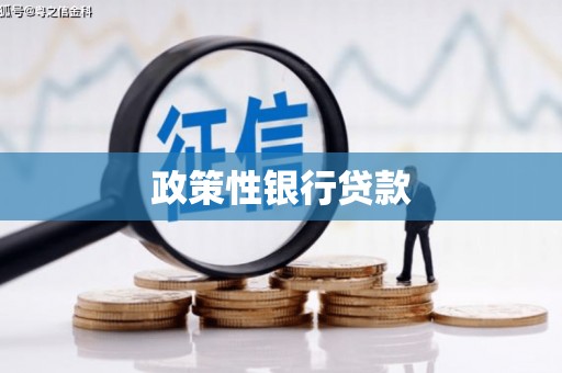 安福政策性银行贷款