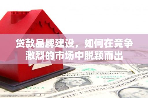 芬园贷款品牌建设，如何在竞争激烈的市场中脱颖而出