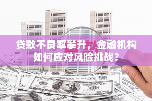 大丰贷款不良率攀升，金融机构如何应对风险挑战？