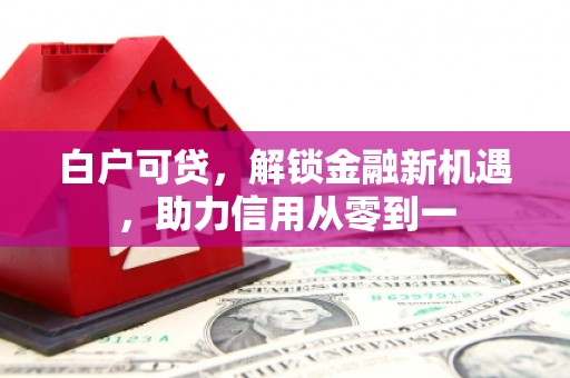 埌东白户可贷，解锁金融新机遇，助力信用从零到一