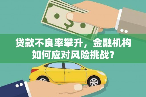 怀集贷款不良率攀升，金融机构如何应对风险挑战？