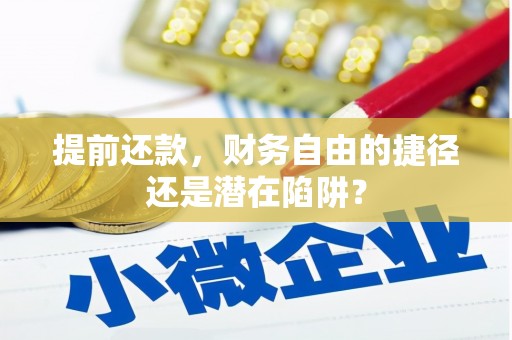 迭部提前还款，财务自由的捷径还是潜在陷阱？