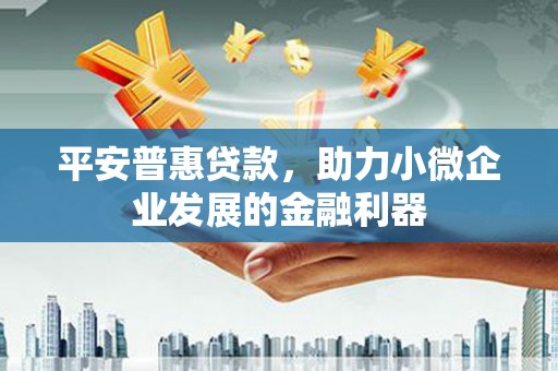黔西平安普惠贷款，助力小微企业发展的金融利器