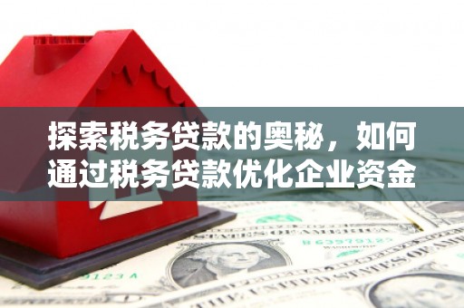 芦洲探索税务贷款的奥秘，如何通过税务贷款优化企业资金流