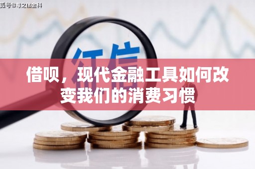 岳麓借呗，现代金融工具如何改变我们的消费习惯