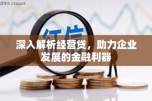 阜宁深入解析经营贷，助力企业发展的金融利器