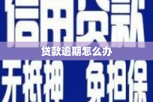 鹿泉贷款逾期怎么办