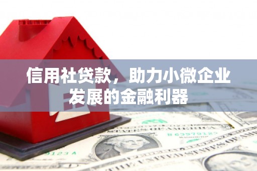 黔西信用社贷款，助力小微企业发展的金融利器