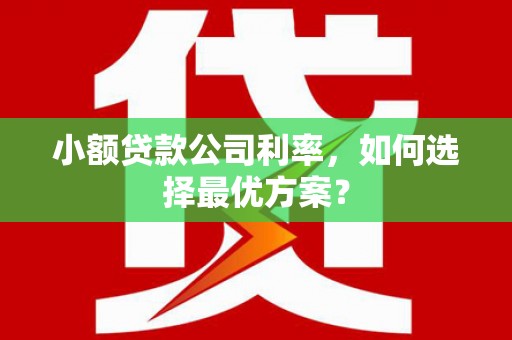 木垒小额贷款公司利率，如何选择最优方案？