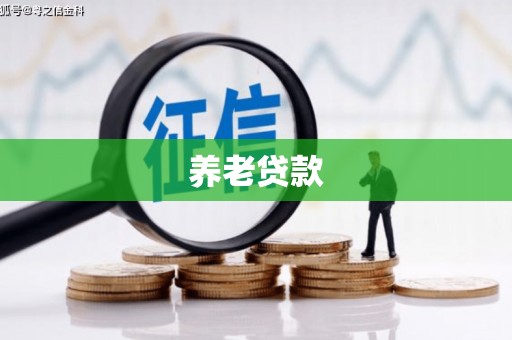 环江养老贷款