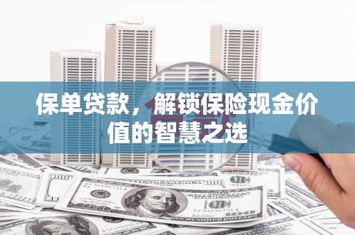 界首保单贷款，解锁保险现金价值的智慧之选