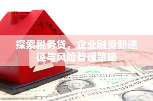 碑林探索税务贷，企业融资新途径与风险管理策略