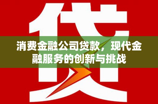 新营消费金融公司贷款，现代金融服务的创新与挑战