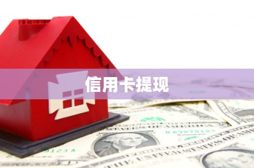 阿莲信用卡提现
