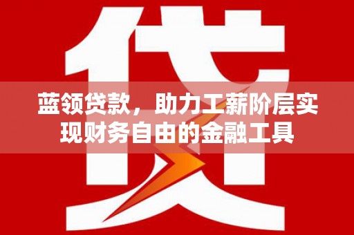 阜新蓝领贷款，助力工薪阶层实现财务自由的金融工具