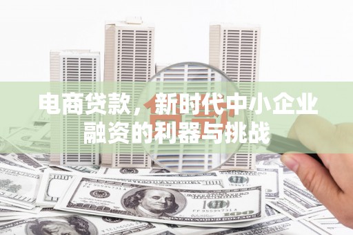 西市电商贷款，新时代中小企业融资的利器与挑战