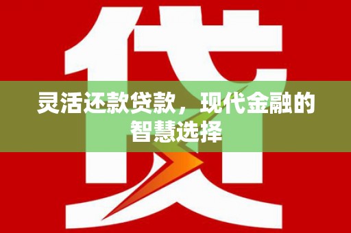 巴青灵活还款贷款，现代金融的智慧选择