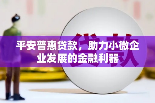 埌东平安普惠贷款，助力小微企业发展的金融利器