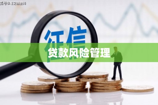 望城贷款风险管理