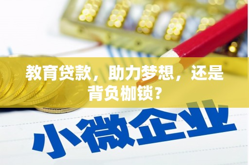 新邱教育贷款，助力梦想，还是背负枷锁？