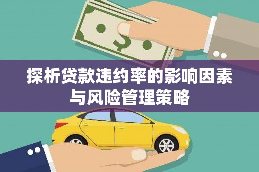 爱民探析贷款违约率的影响因素与风险管理策略