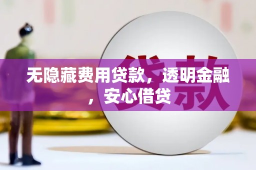 山阳无隐藏费用贷款，透明金融，安心借贷