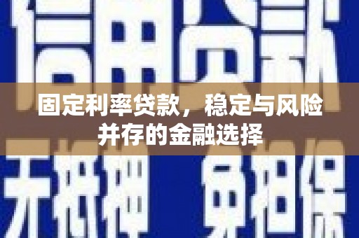 南乐固定利率贷款，稳定与风险并存的金融选择