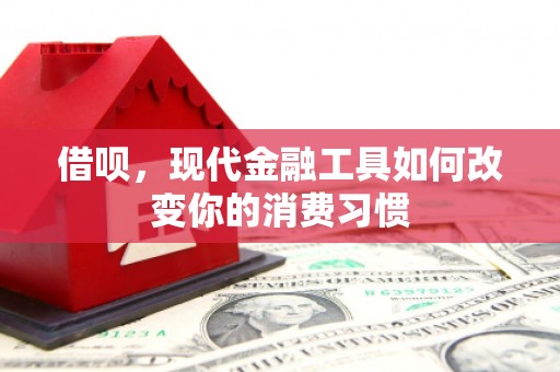 东川借呗，现代金融工具如何改变你的消费习惯