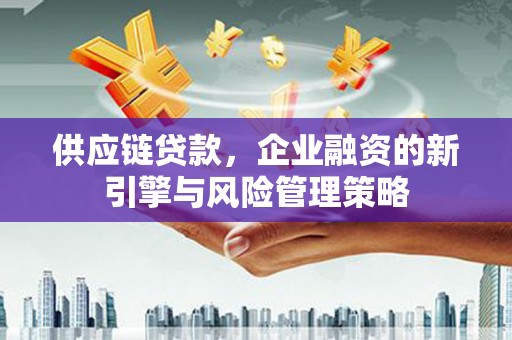 狮子供应链贷款，企业融资的新引擎与风险管理策略