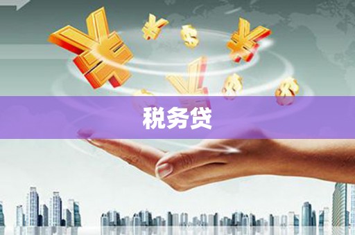 拉孜税务贷