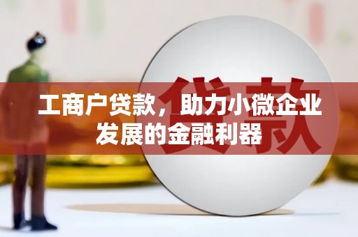 中堂工商户贷款，助力小微企业发展的金融利器
