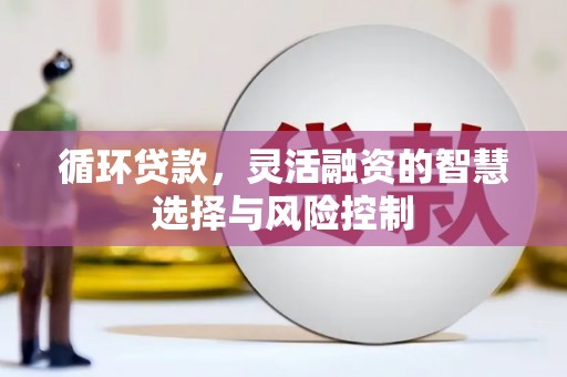 麻豆循环贷款，灵活融资的智慧选择与风险控制