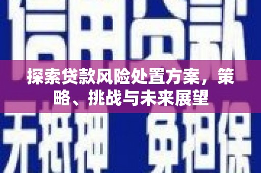 云龙探索贷款风险处置方案，策略、挑战与未来展望