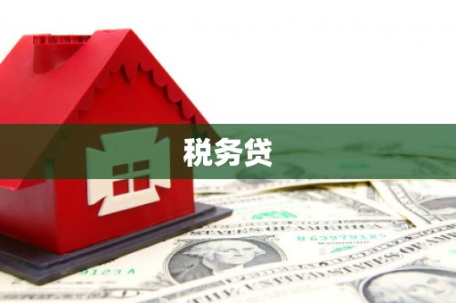 同德税务贷