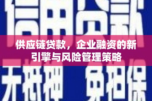 西平供应链贷款，企业融资的新引擎与风险管理策略