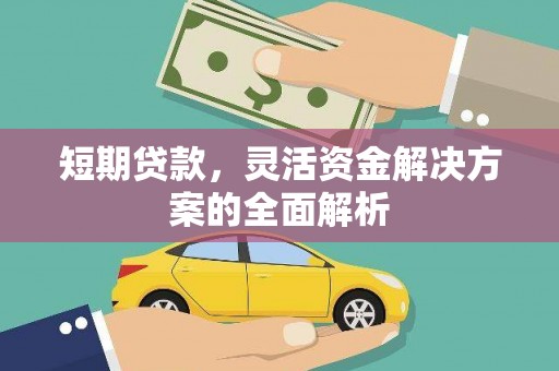 华龙短期贷款，灵活资金解决方案的全面解析