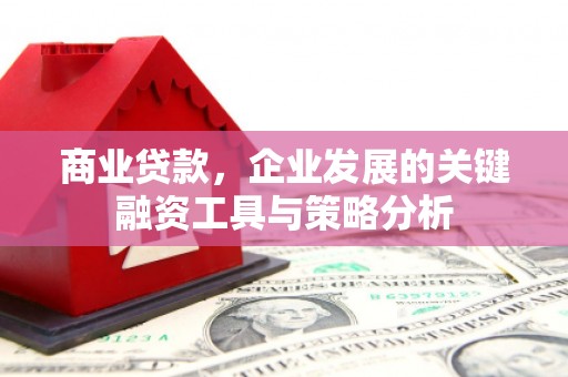 辰溪商业贷款，企业发展的关键融资工具与策略分析