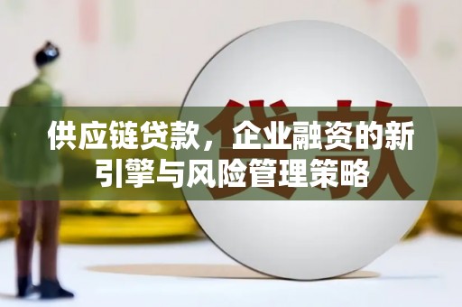 漳平供应链贷款，企业融资的新引擎与风险管理策略