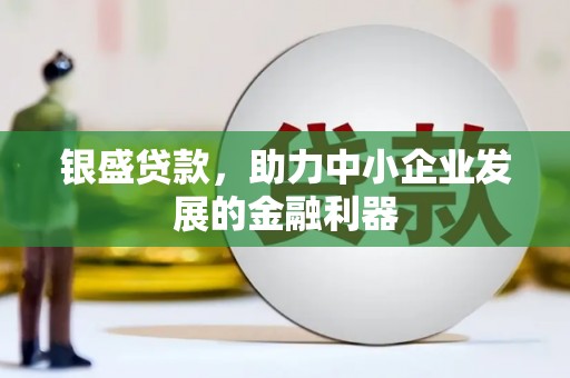 丰宁银盛贷款，助力中小企业发展的金融利器