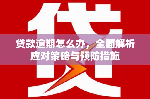 营口贷款逾期怎么办，全面解析应对策略与预防措施